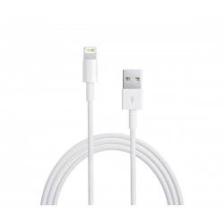 Καλώδιο lightning Apple Retail 1Μ